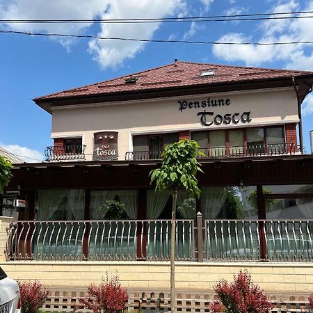 Pensiune Turistica Tosca Bacau Exterior photo